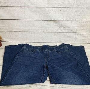 D&Co Denim +‎ Company Elastic Waist Denim Jeggings Women 14P